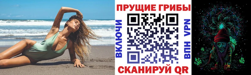 наркотики  Лермонтов  Галлюциногенные грибы мицелий 